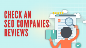 Check an SEO Companies Reviews