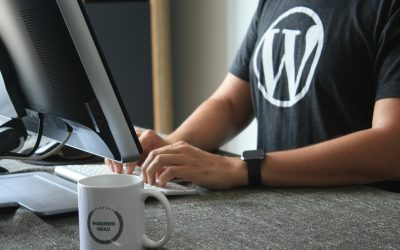 Mullenweg May Delay WordPress Releases Until 2027