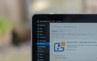 Why Use the Internet Archive WordPress Plugin