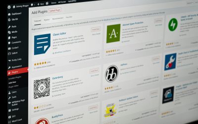 Internal WordPress Rift Exposed